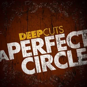 A Perfect Circle Albums