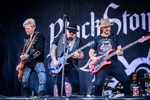 Black Stone Cherry Albums