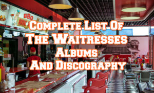 The Waitresses Albums
