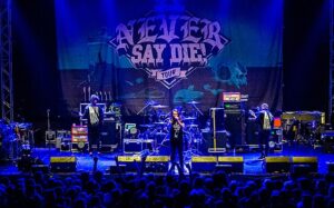 Fit For A King Albums