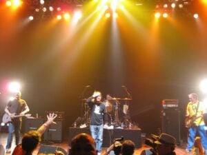 Complete List Of Black Flag Band Members