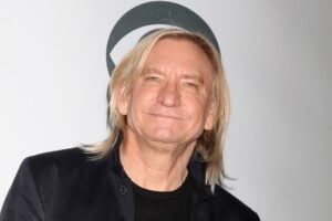 Joe Walsh Bands and musical projects